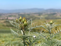 IMG_1202
